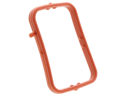 Thermostat Seal