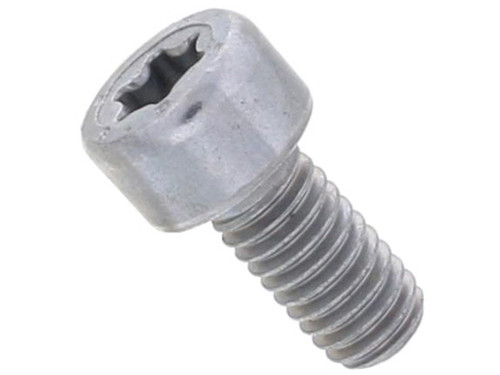 Torx Head Bolt
