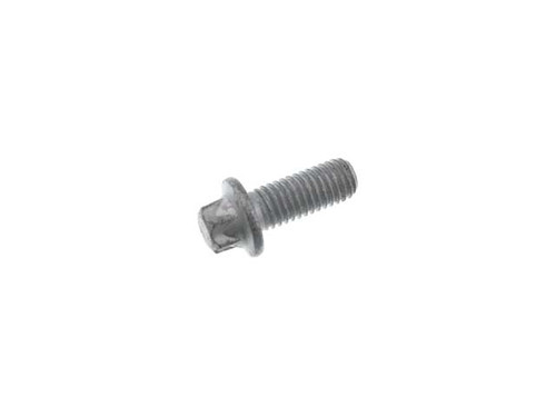 Crankshaft Pulley Bolt