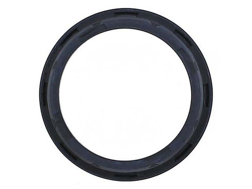 Thermostat Seal