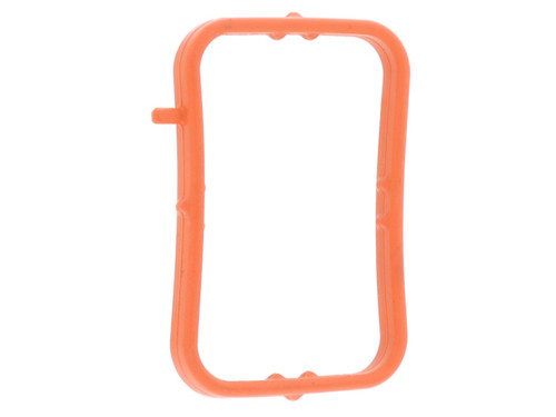 Thermostat Seal