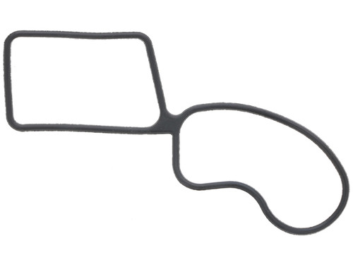 Water Pump Gasket