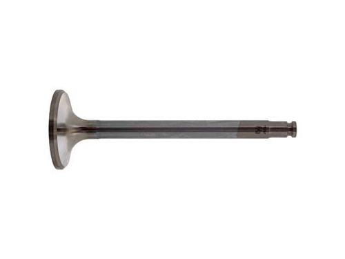 Exhaust Valve