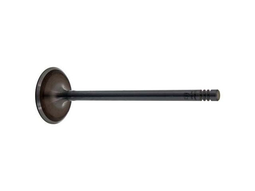 Intake Valve