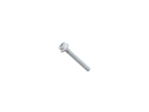 Fuel Injector Rail Bolt