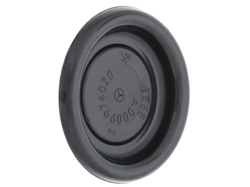 Plastic Body Plug