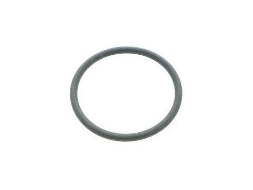 Fuel Strainer O-Ring