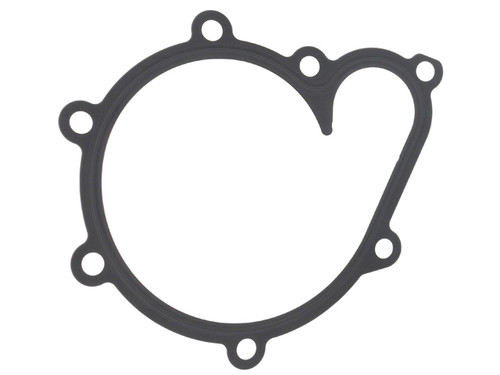 Water Pump Gasket