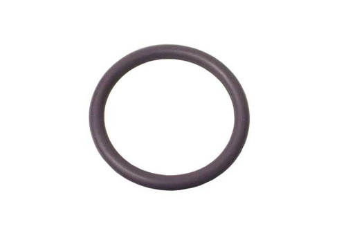Cylinder Head Plug O-Ring