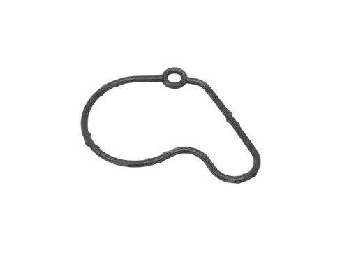 Vacuum Pump Gasket