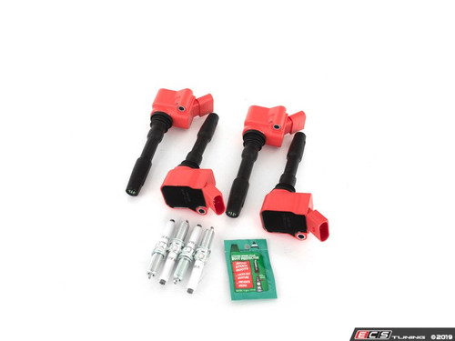RS Ignition Service Kit