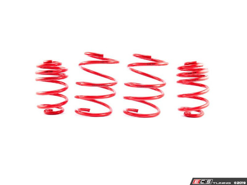 Bavarian Autosport Performance Springs - Set of 4 | ES3674903