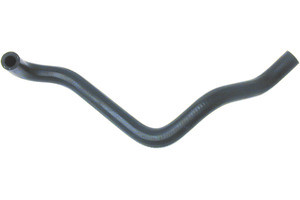 9149071.jpg