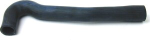 CAC5100.jpg