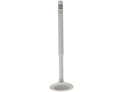 Intake Valve