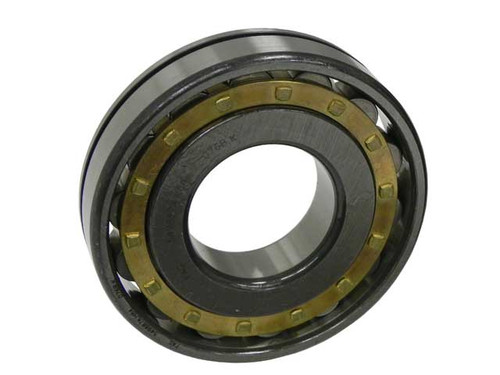 Pinion Shaft Bearing