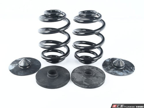 Heavy Duty Rear Coil Spring Replacement Kit