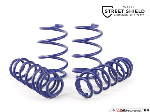H&R Sport Springs - ECS Street Shield
