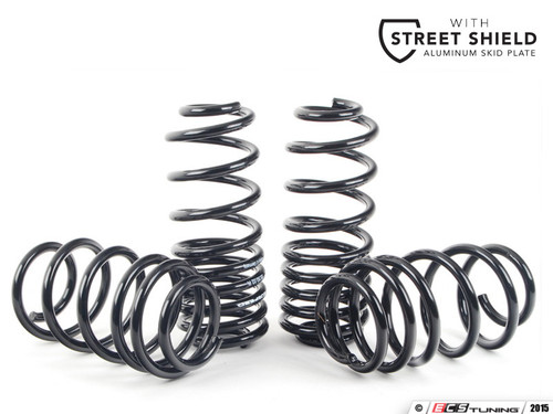 Neuspeed Sport Springs - ECS Street Shield