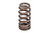 APR VALVE SPRING KIT, INDIVIDUAL