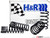 H&R Sport Spring & Bilstein Sport Shocks Combo | ES964