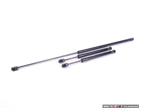 Hood And Trunk Strut Kit | ES2587229