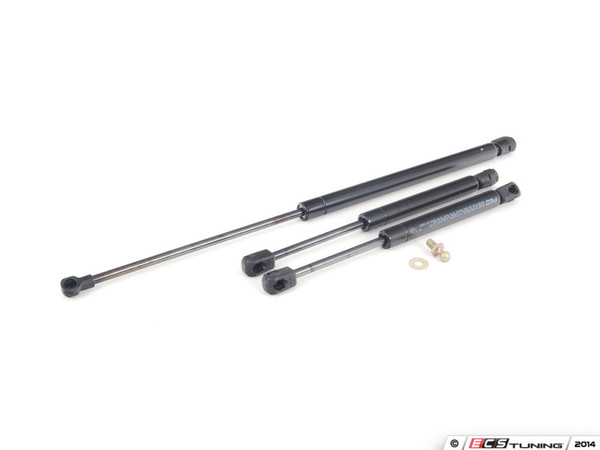 Hood And Trunk Strut Kit | ES2593478