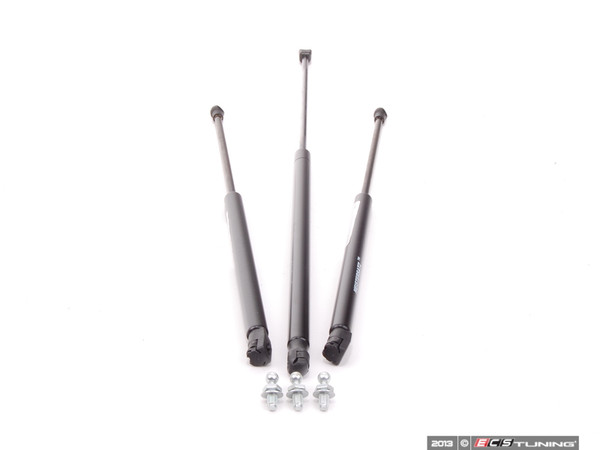 B5 Hood And Hatch Strut Kit