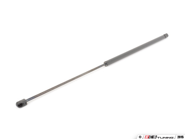 Hood And Trunk Strut Kit | ES2762292