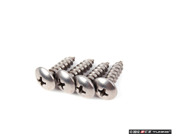 Stainless Steel License Plate Screws - Set Of 4 | ES2598159