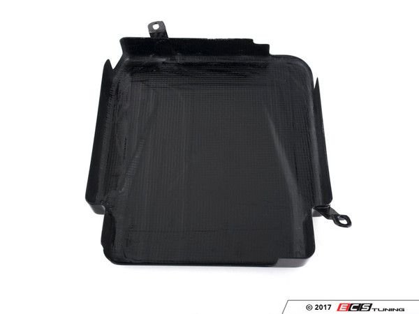 Carbon Fiber ECU Cover | ES3247906