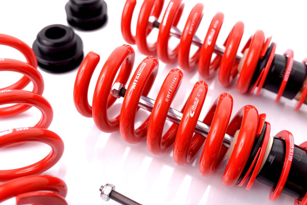 MTS Technik Sport Series Coilovers - Audi A8 | MTSGWAU22-S
