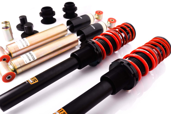 MTS Technik Street Series Coilovers 1973 - 1981 Volkswagen Passat | MTSGWVW01