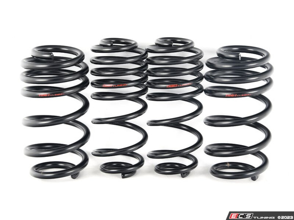 B8/B8.5 A4/S4 Lowering Springs, Shocks & Installation Kit