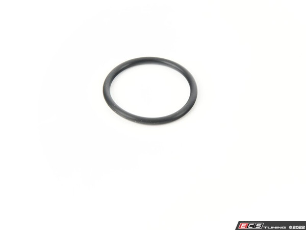 Flange O-Ring