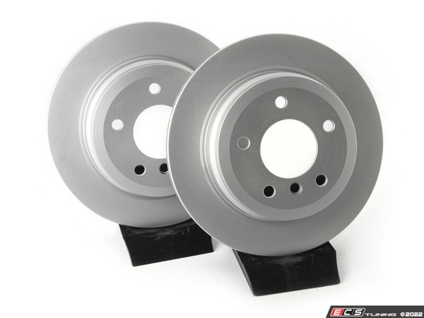 Rear V5 Plain Brake Rotors - Set (300x20) - ES4668916