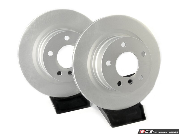 Rear V5 Plain Brake Rotors - Set (300x20) - ES4668975