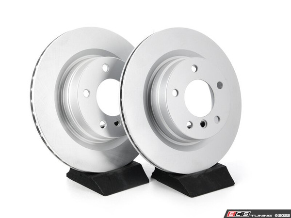 Rear V5 Plain Brake Rotors - Set (300x20) - ES4668971