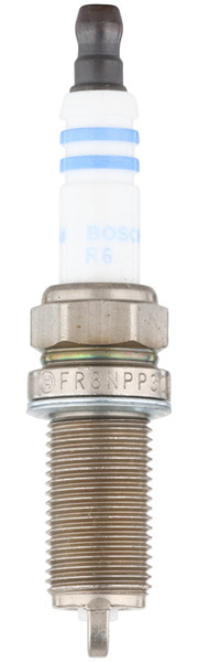 BS_6740_Bac.jpg