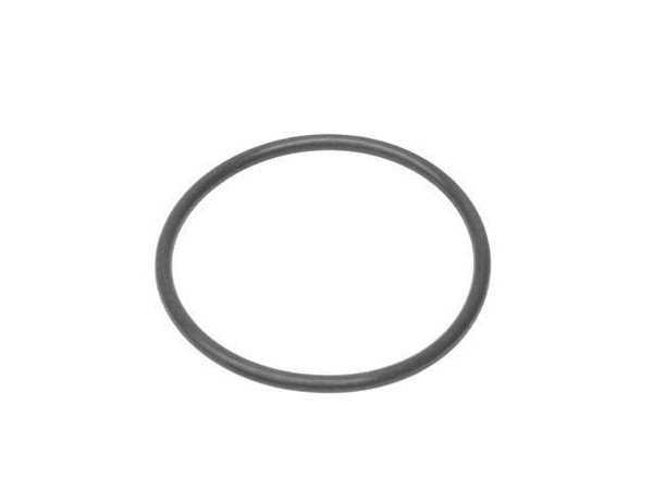 Thermostat O-Ring