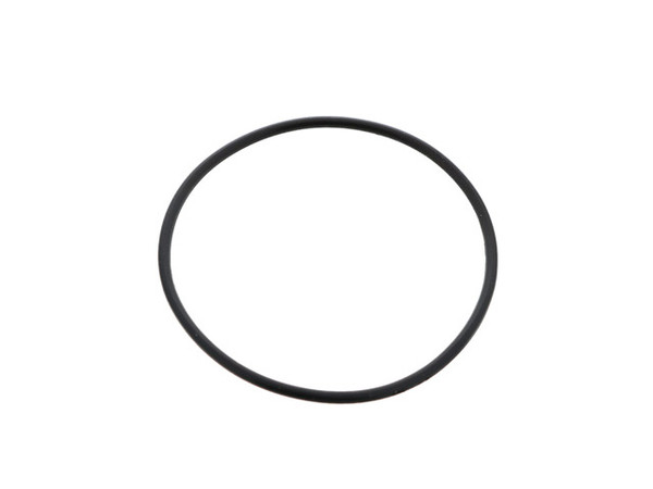 Thermostat O-Ring