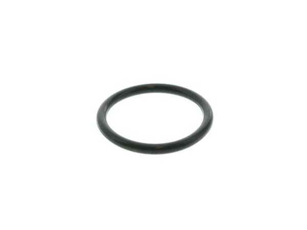 Water Pump O-Ring