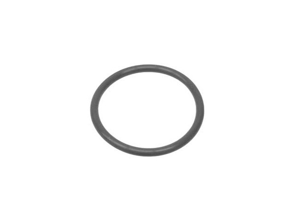 Oil Cap Seal