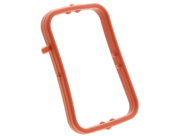 Thermostat Seal