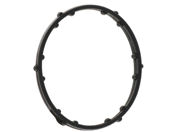 Thermostat Gasket