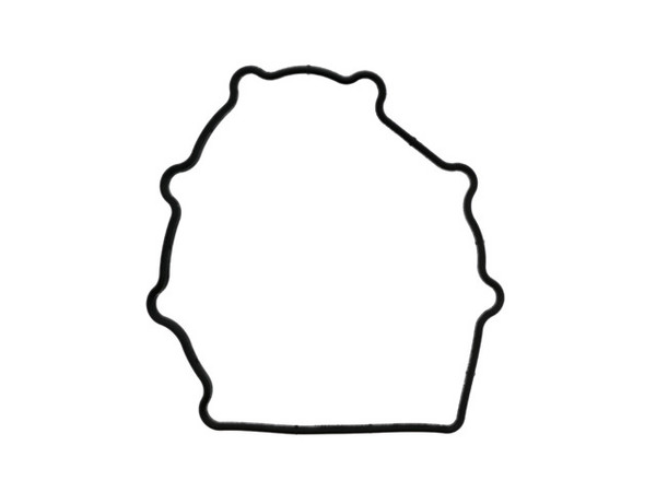 Chain Cover Gasket