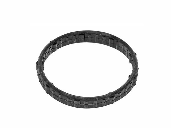 Thermostat Housing Gasket