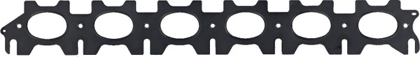 RN_711248400_Top.jpg
