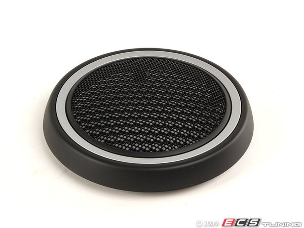 Lower Speaker Grille Cover - Silver | ES4818131