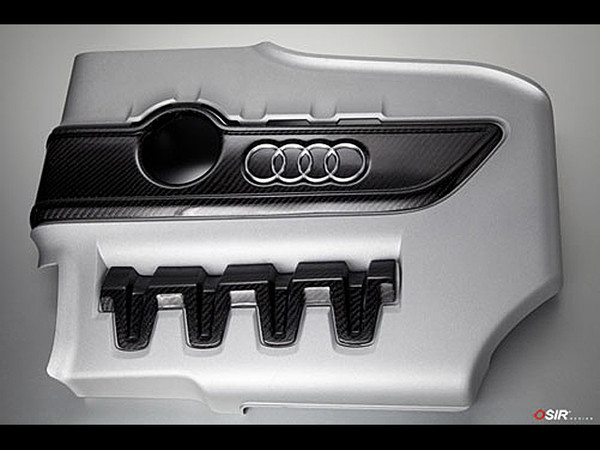 OSIR TTS Engine Cover Kit Carbon Fiber - 2 Pieces